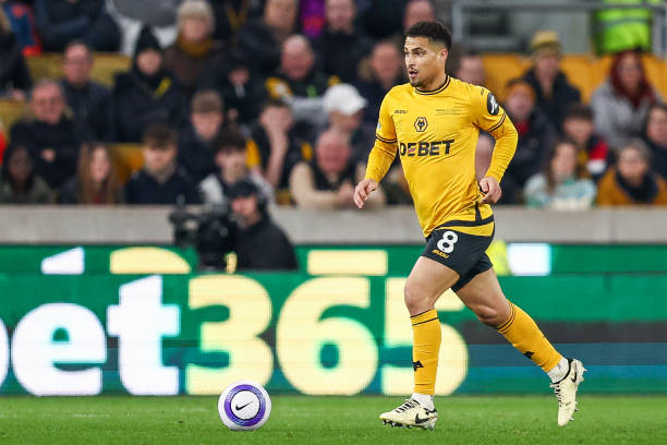 境的般尼茅 境的般尼茅